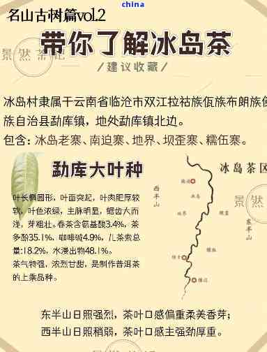 探索冰岛与普洱茶之差异：一场口感之旅