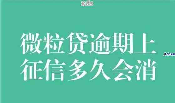 微粒贷逾期几日未付会怎么样：处理方式解析