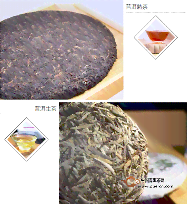 普洱茶收藏用生茶还是熟茶