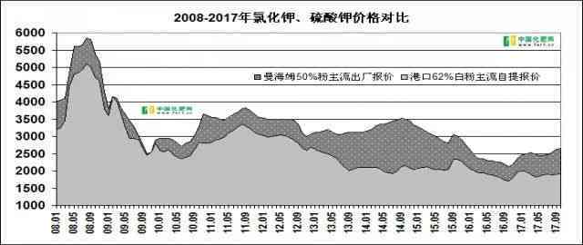 探究大竹筒普洱茶：是否具备收藏价值及其价格趋势分析