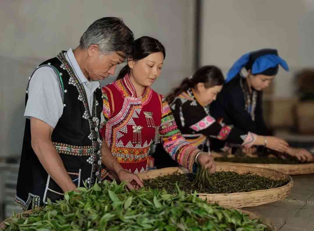 探究云南普洱茶制作的非遗技艺及其在茶文化中的地位