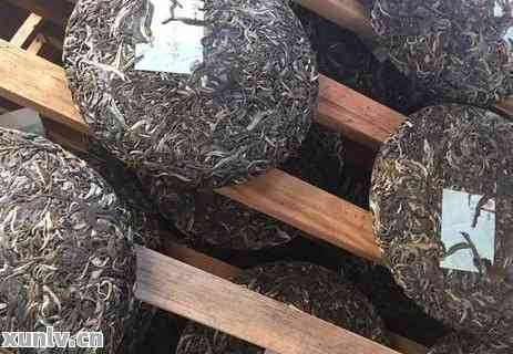 普洱茶饼保存技巧：如何确保未拆封的茶叶保持品质与新度？