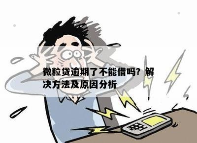 微粒贷逾期的影响和后果全面解析：如何应对、恢复信用以及避免进一步损失