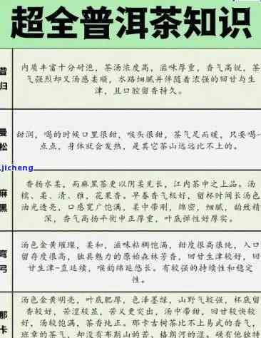 全面了解知名普洱茶名称：从品种、产地、口感到品鉴方法的全方位指南