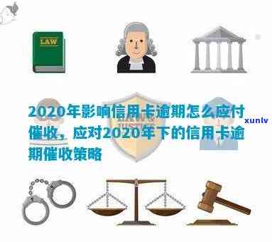 2020年信用卡违约：原因、影响、解决方案和预防措全解析