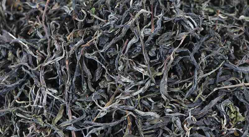 一般的普洱散茶多少钱一斤？求解答！