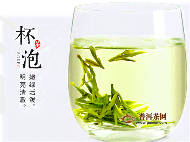 龙井茶好还是普洱茶好：比较这两种茶叶哪个更受欢迎以及它们的价格差异