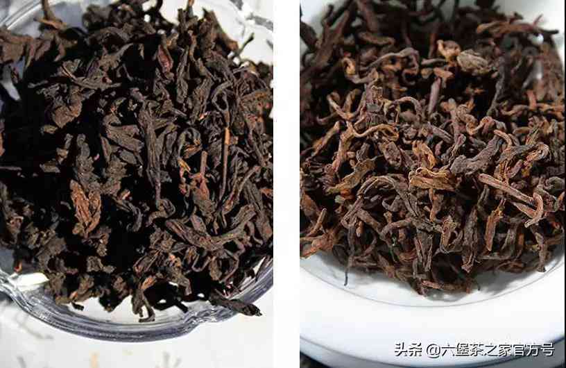 六堡茶是普洱茶吗？为什么这么贵？与普洱茶的区别和历比较