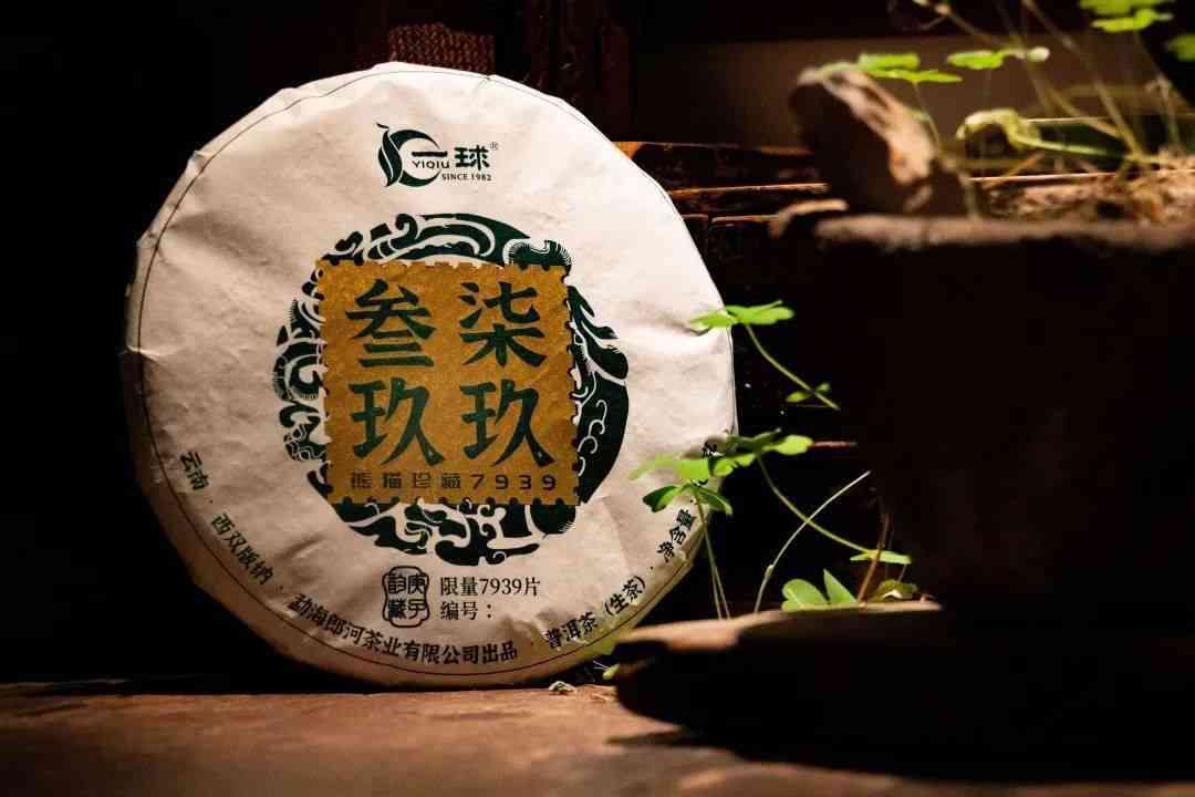 普洱茶作为礼物：合适吗？如何选择合适的普洱茶礼品？