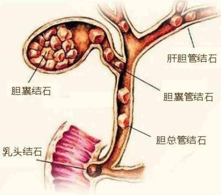 探究和田玉的五行属性及其在玉石形成过程中的关键因素