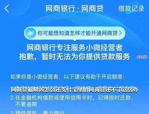 网商贷逾期还款后，再次借款是否可行及其安全性探讨