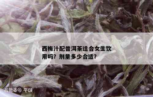 熟普洱茶的饮用量：每次多少克最合适？