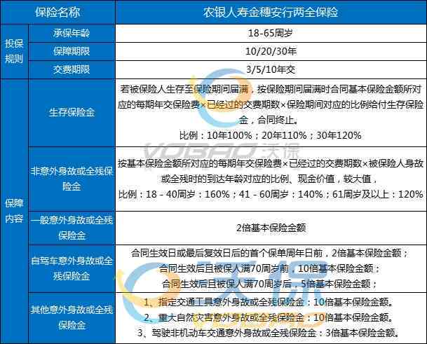 中国人寿保险逾期时间解析：避免失效的关键步骤