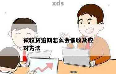 微粒贷逾期问题全面解析：原因、影响与解决策略