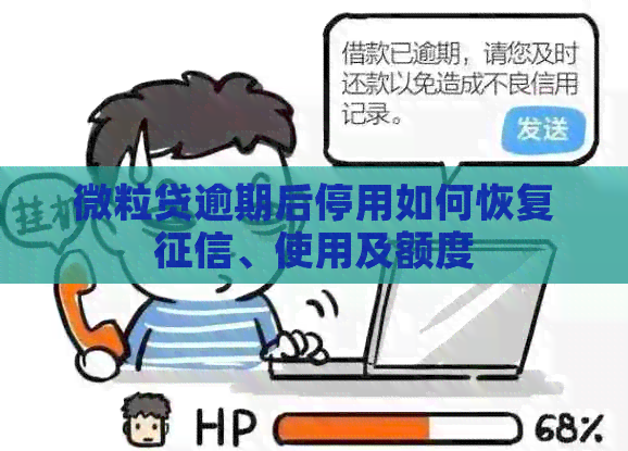 微粒贷逾期额度停用后，还款恢复时间及相关操作指南