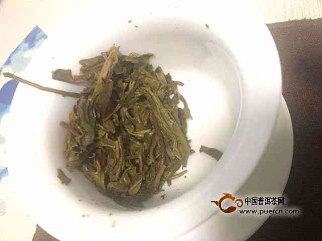 金达摩2005年珍品生茶：独特的风味与文化魅力