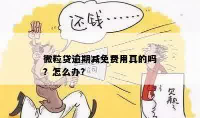 微粒贷逾期能否减免