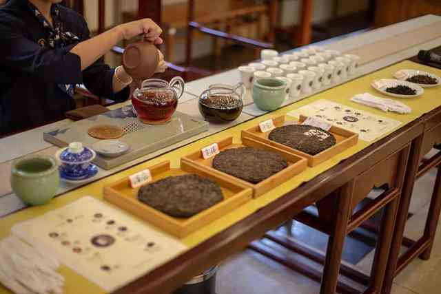 全面解析：普洱茶市场，从选购到品鉴，了解所有你想知道的