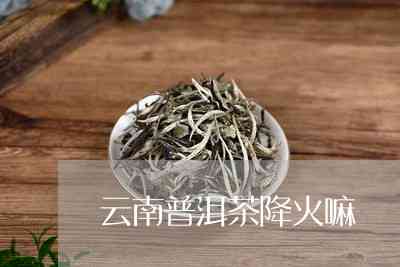 云南普洱茶上火还是降火