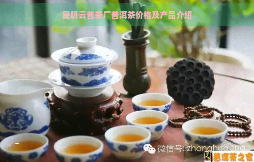 云南明茶厂官方旗舰店：精选普洱茶报价及批发信息