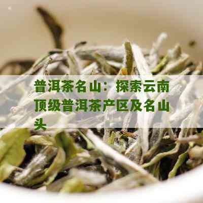 探秘普洱茶之王：顶级山头十大茶品排名榜首