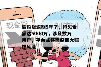 微粒贷逾期50天，欠款5000元可能面临的风险和影响