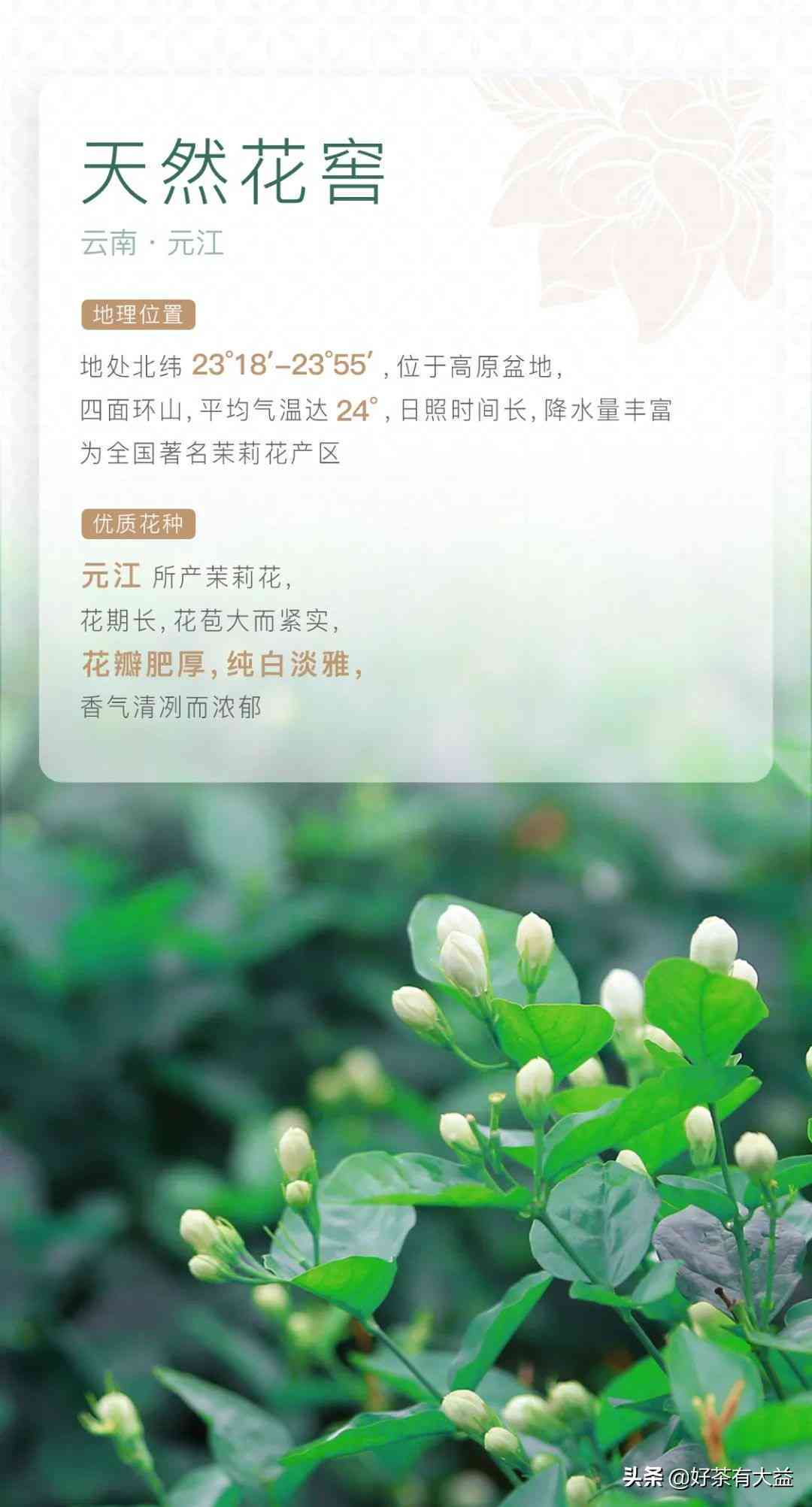 古法自制普洱茶方法有哪些