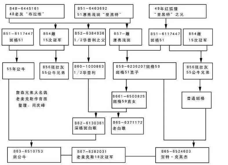 揭秘老蓝水价格低廉背后的原因：质量、渠道与市场策略全解析