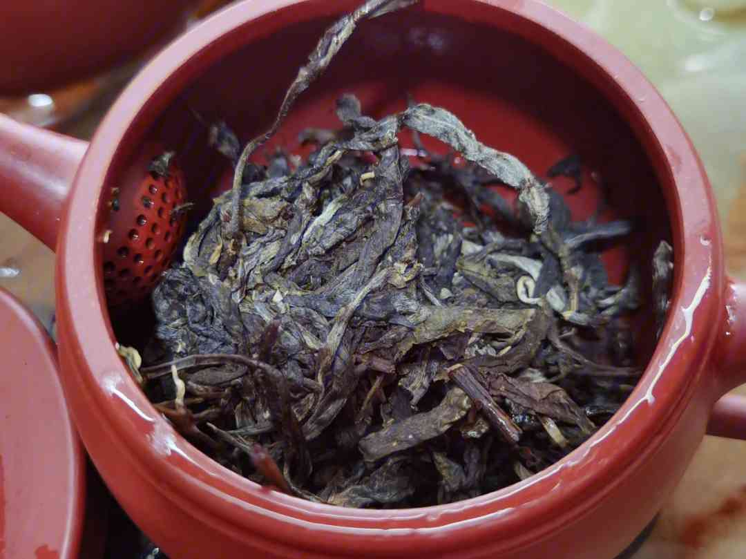 普洱茶1月份做出来的好茶