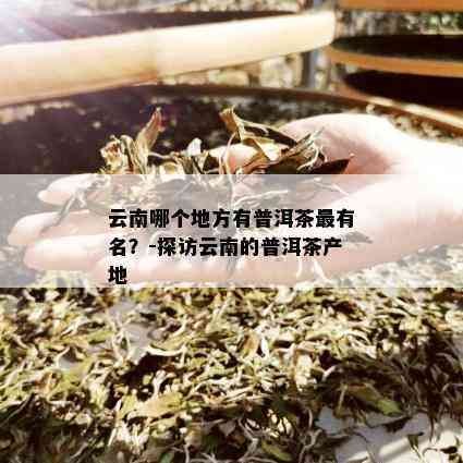 云南和兴普洱茶的比较：哪个产地的茶更好？