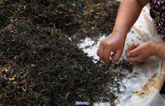 小叶种普洱茶炒制时间多长