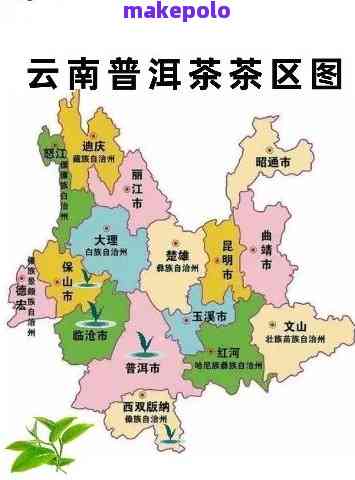 普洱茶的发源地：云南、四川还是其他地方？探索普洱茶的历与地理背景