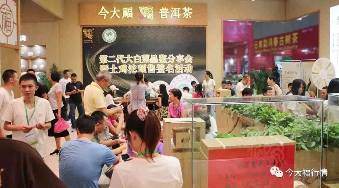 今大福高品质普洱茶价格表查询2019年最新行情报价，今大福普洱茶官网价格表