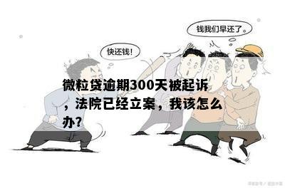 微粒贷逾期300天被起诉，法院立案：如何应对、解决方案及可能的法律后果