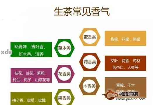 普洱茶的风味：从口感、香气到功效，全面解析