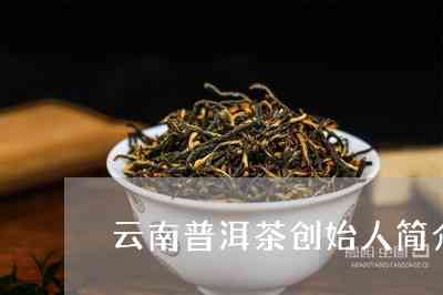 普洱茶之云个人介绍