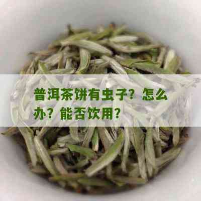 普洱茶饼子虫咬还能喝吗