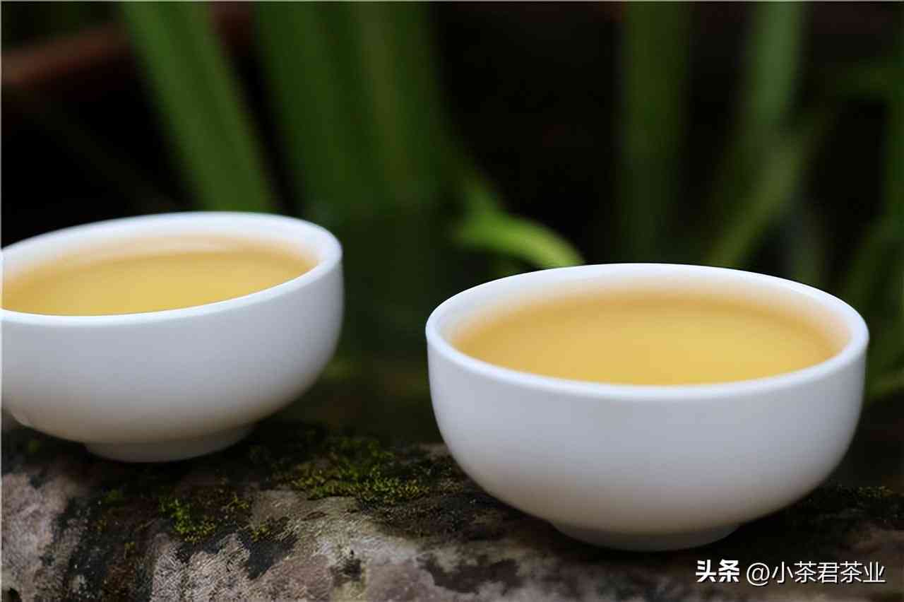 花普洱茶熟茶还是生茶比较好？