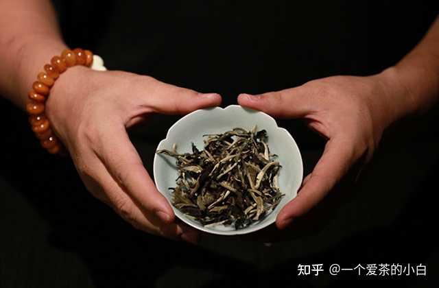 普洱茶的魅力：生熟两款，你更爱哪一款？