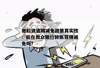 关于微粒贷逾期利息减免政策的全面解析：真实性与适用范围深度探讨