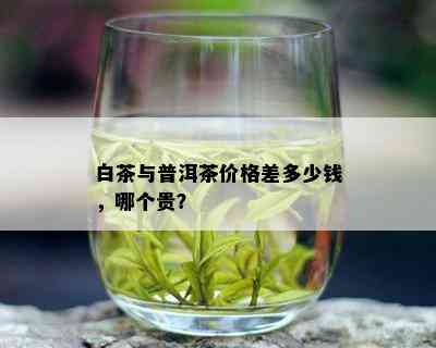 白茶与普洱茶价格差距大，哪个更贵？