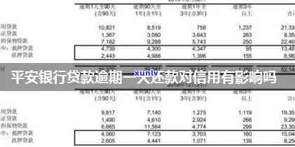 平安银行贷款逾期一天的信用影响及还款策略