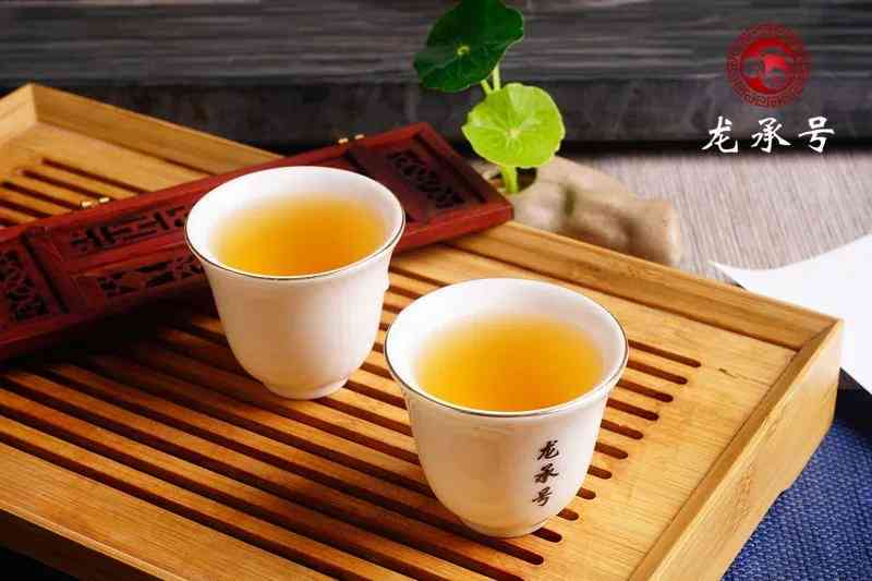 云南普洱茶优质货源，一斤报价多少钱？生茶批发采购