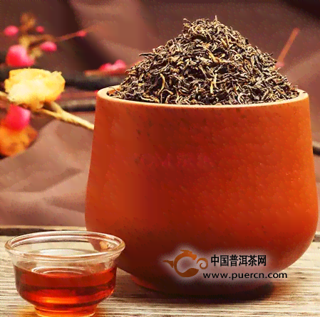 普洱茶与乌龙茶：两种独特茶叶的比较分析