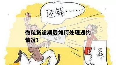 微粒贷逾期拒不处理怎么办？如何解决？