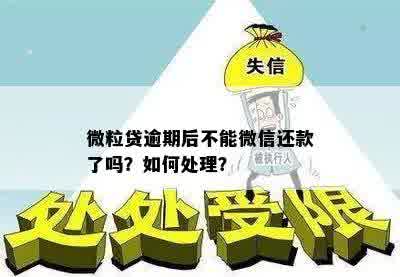 微粒贷逾期拒不处理怎么办？如何解决？