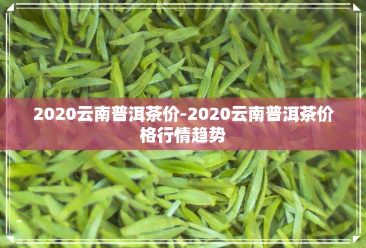 2020年云南普洱茶毛料市场价格分析与走势，了解购买的时机和途径