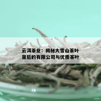 大理洱海雪绿茶叶：云南下关山茶的魅力与风味