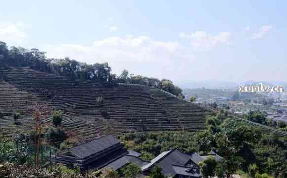 普洱茶城观景台：探索城市美景的理想之地