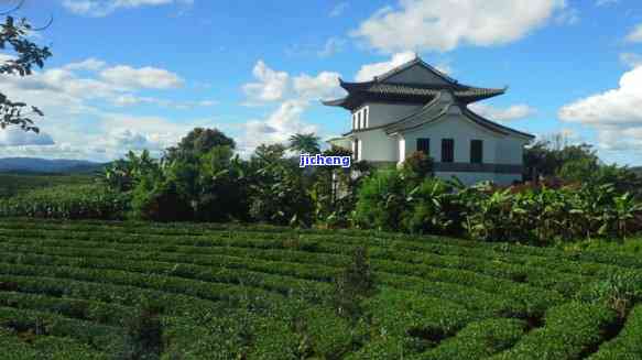 普洱茶城观景台：探索城市美景的理想之地